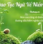 Bài Hát Tiếng Anh Về Nghị Lực Sống