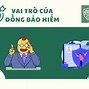 Đồng Bảo Hiểm Là Như Thế Nào