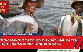 Kim Ngạch Xuất Khẩu Cá Tra Tháng 8 2023 Excel Download