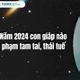 Năm 2024 Những Con Giáp Nào Gặp Hạn Tam Tai